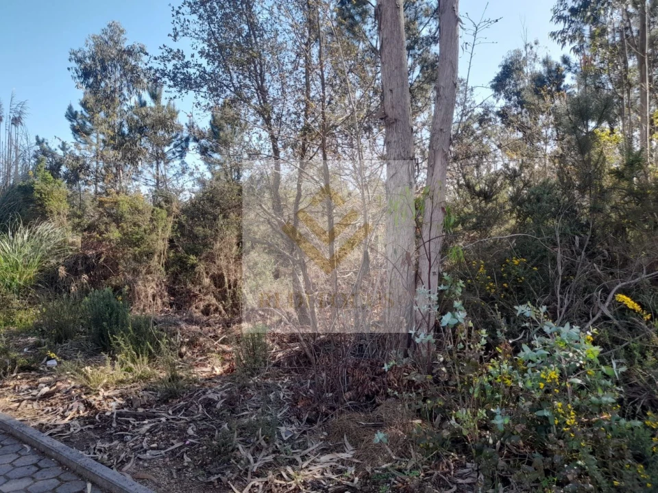 Terreno para Venda em São Roque Foto 5