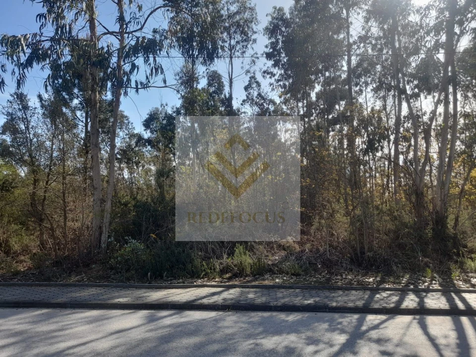 Terreno para Venda em São Roque Foto 4