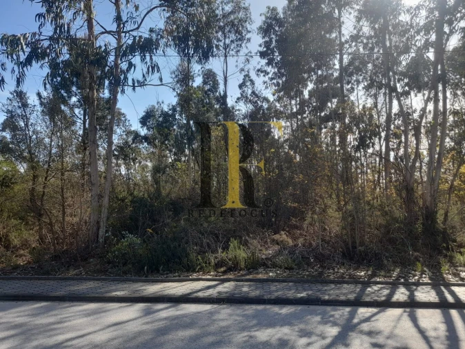 Terreno para Venda em São Roque Foto 4