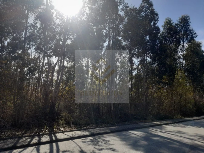 Terreno para Venda em São Roque Foto 3