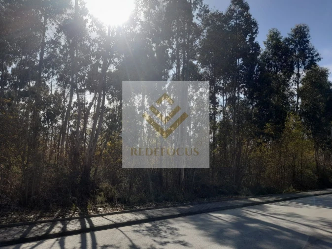 Terreno para Venda em São Roque Foto 3