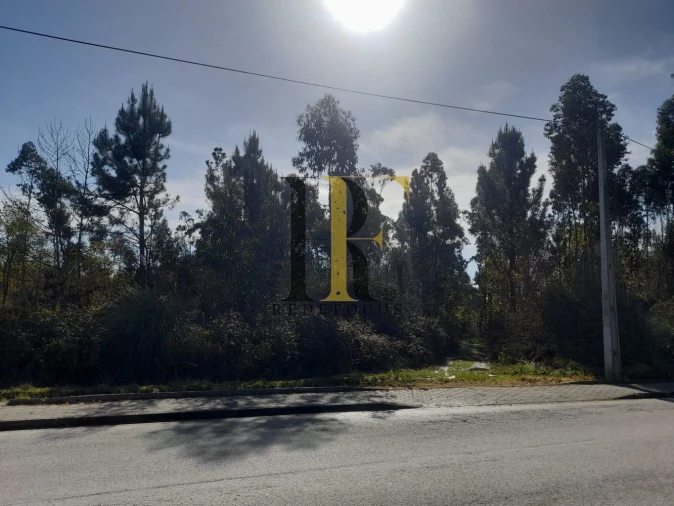 Terreno para Venda em São Roque Foto 1