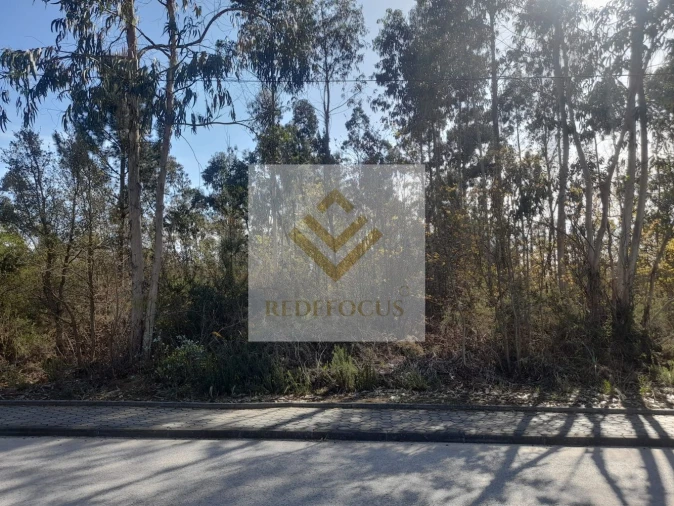 Terreno para Venda em São Roque Foto 4