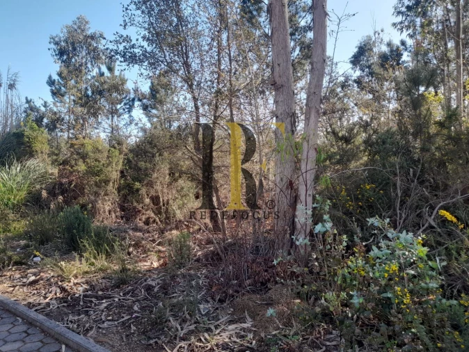 Terreno para Venda em São Roque Foto 5