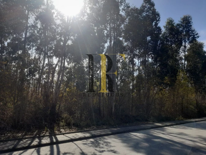 Terreno para Venda em São Roque Foto 3