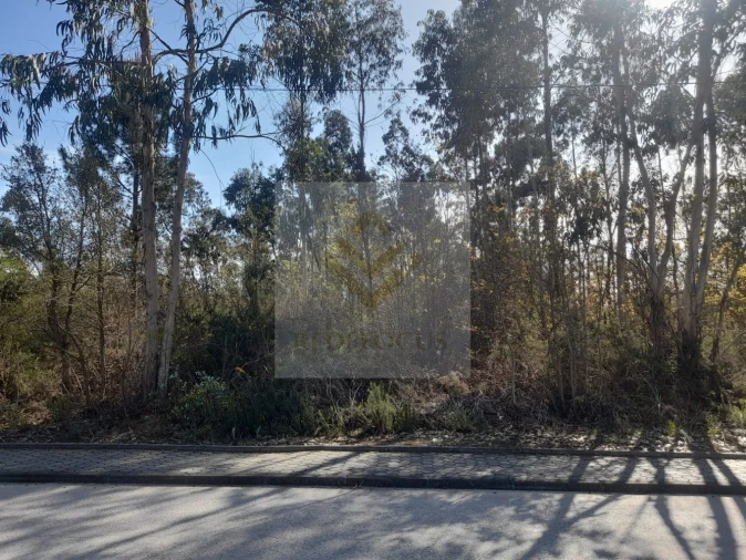 Terreno para Venda em São Roque Foto 4