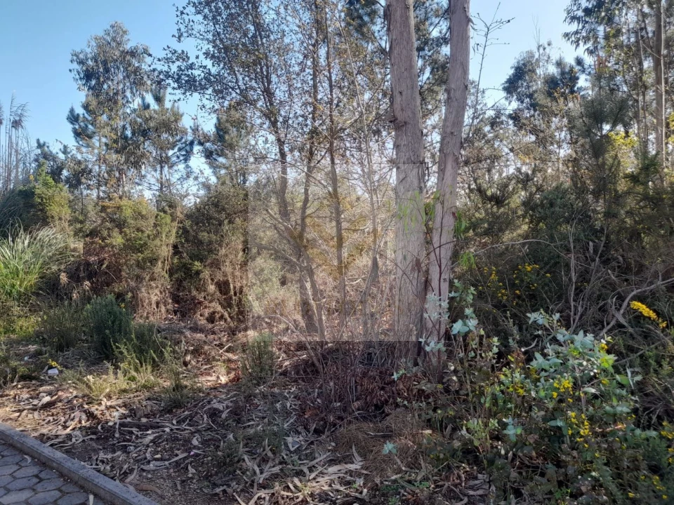 Terreno para Venda em São Roque Foto 5