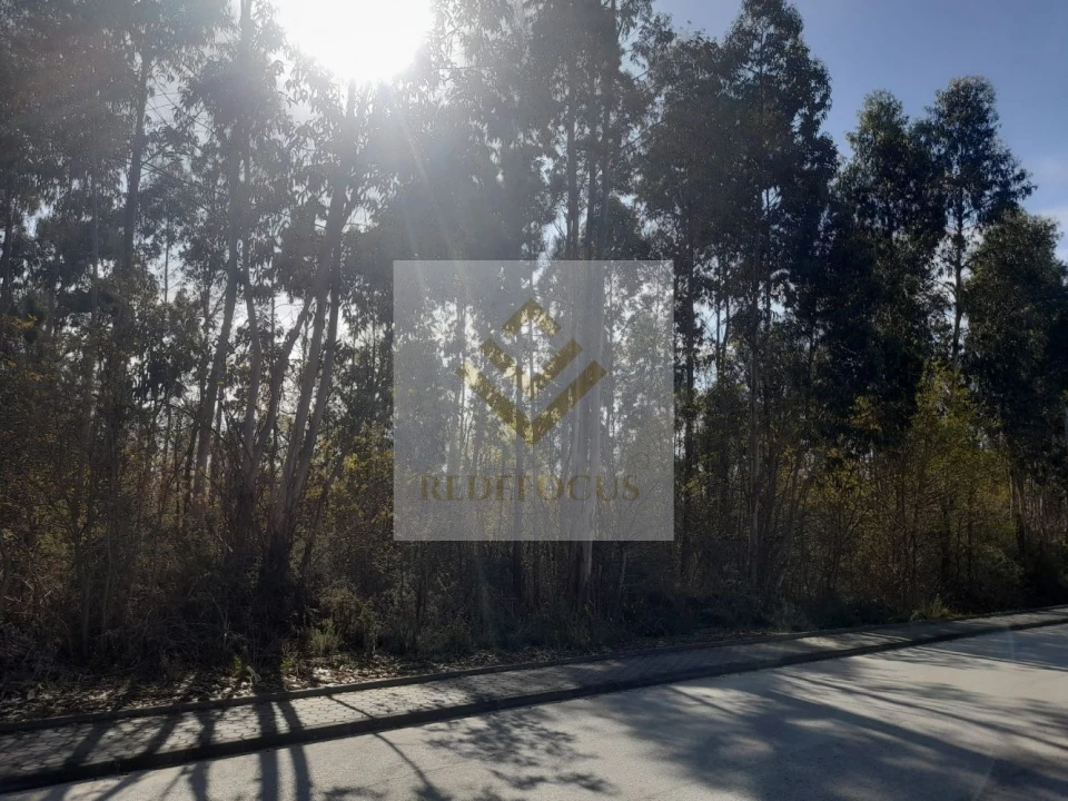 Terreno para Venda em São Roque Foto 3