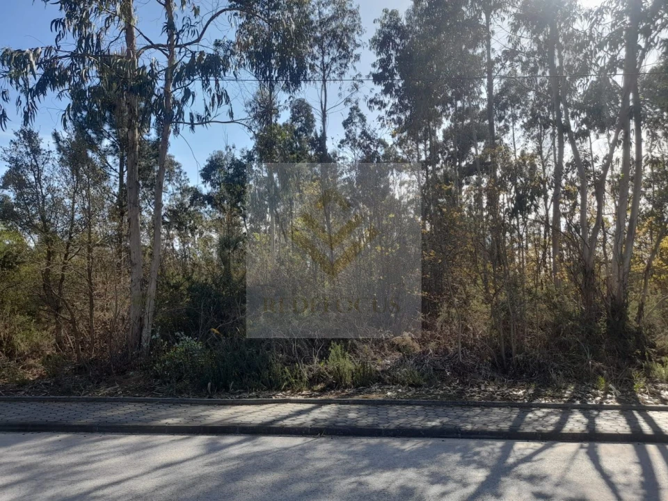 Terreno para Venda em São Roque Foto 4