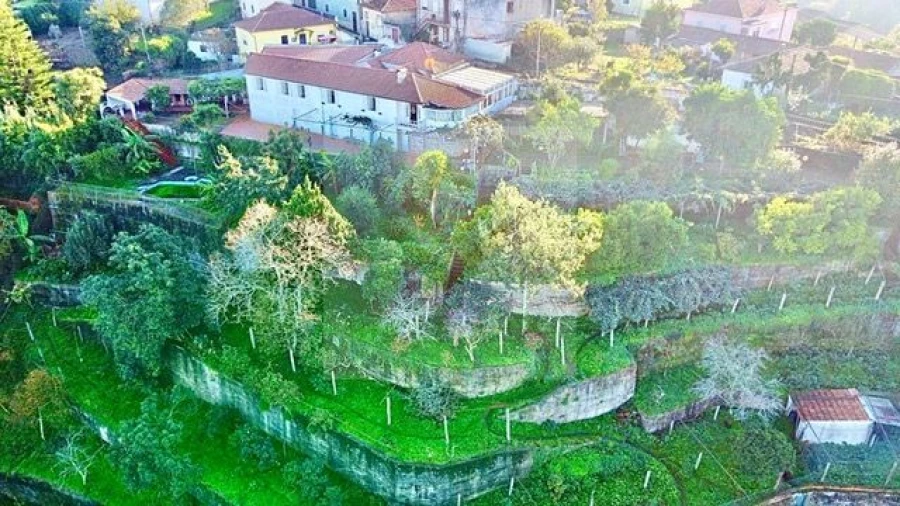 Quinta T6 para Venda em Avintes Foto 2