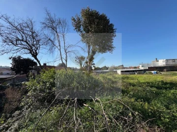 Terreno para Venda em Nogueira da Regedoura