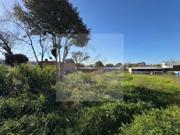 Terreno para Venda em Nogueira da Regedoura