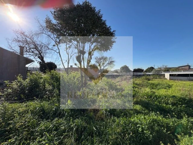 Terreno para Venda em Nogueira da Regedoura Foto 4