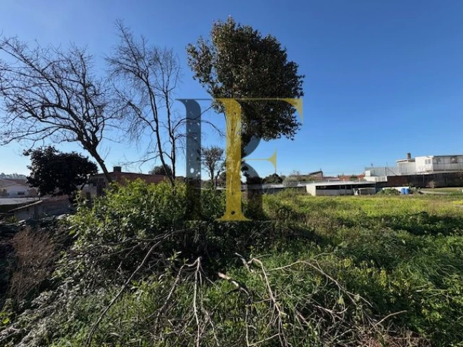 Terreno para Venda em Nogueira da Regedoura Foto 5