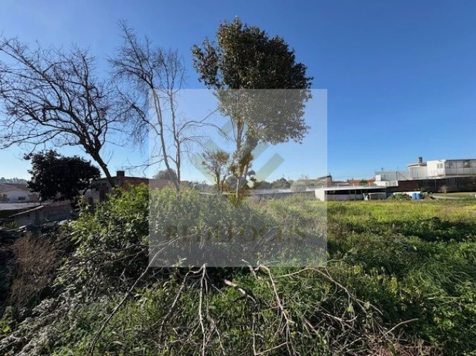 Terreno para Venda em Nogueira da Regedoura Foto 5