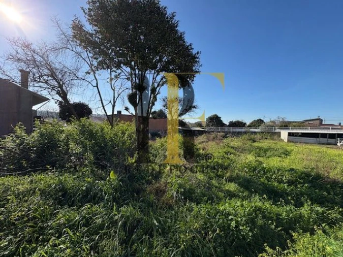 Terreno para Venda em Nogueira da Regedoura Foto 3