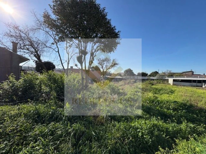Terreno para Venda em Nogueira da Regedoura Foto 3
