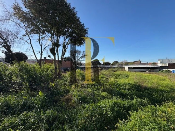 Terreno para Venda em Nogueira da Regedoura Foto 2