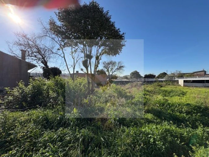 Terreno para Venda em Nogueira da Regedoura Foto 4