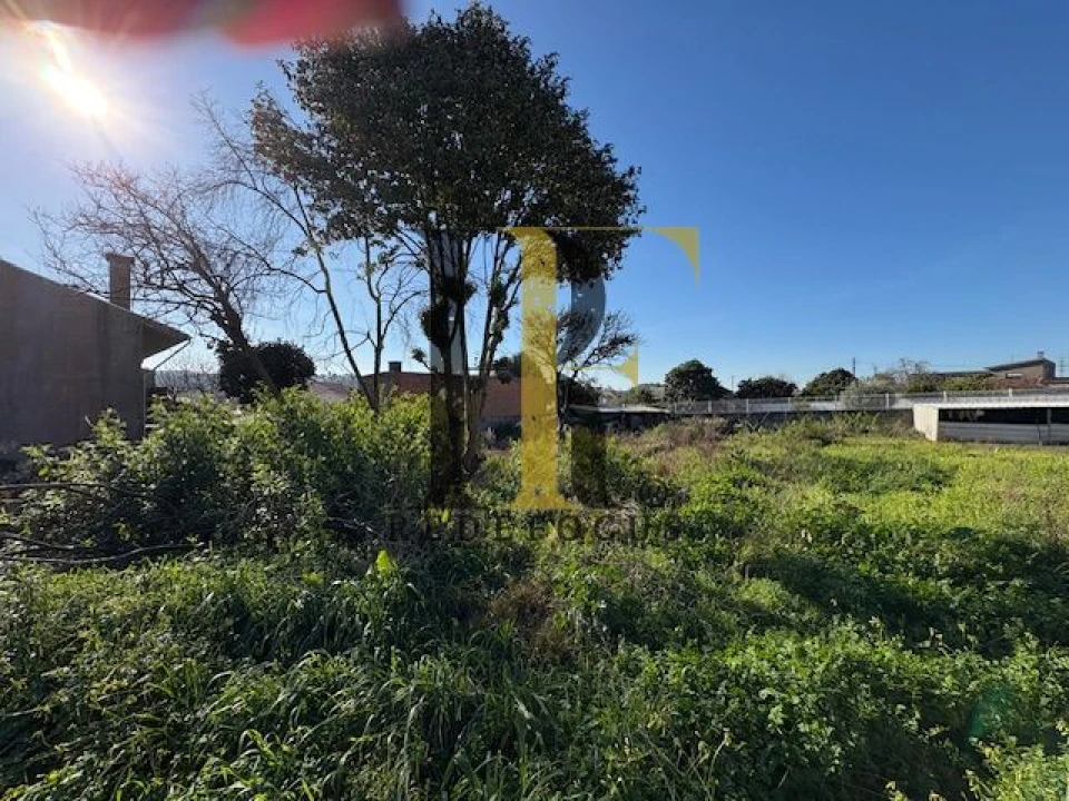 Terreno para Venda em Nogueira da Regedoura Foto 4