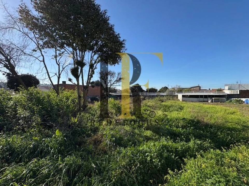 Terreno para Venda em Nogueira da Regedoura Foto 2