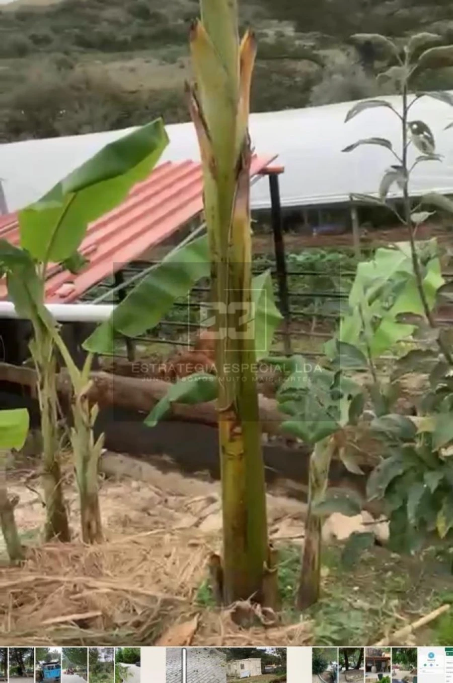 Quinta T2 para Venda em Arranho Foto 25