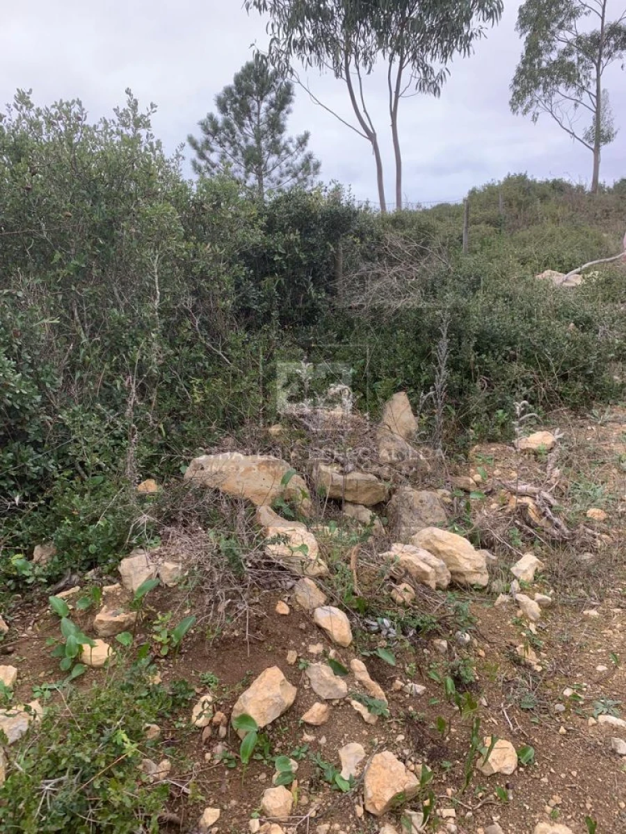 Quinta T2 para Venda em Arranho Foto 23