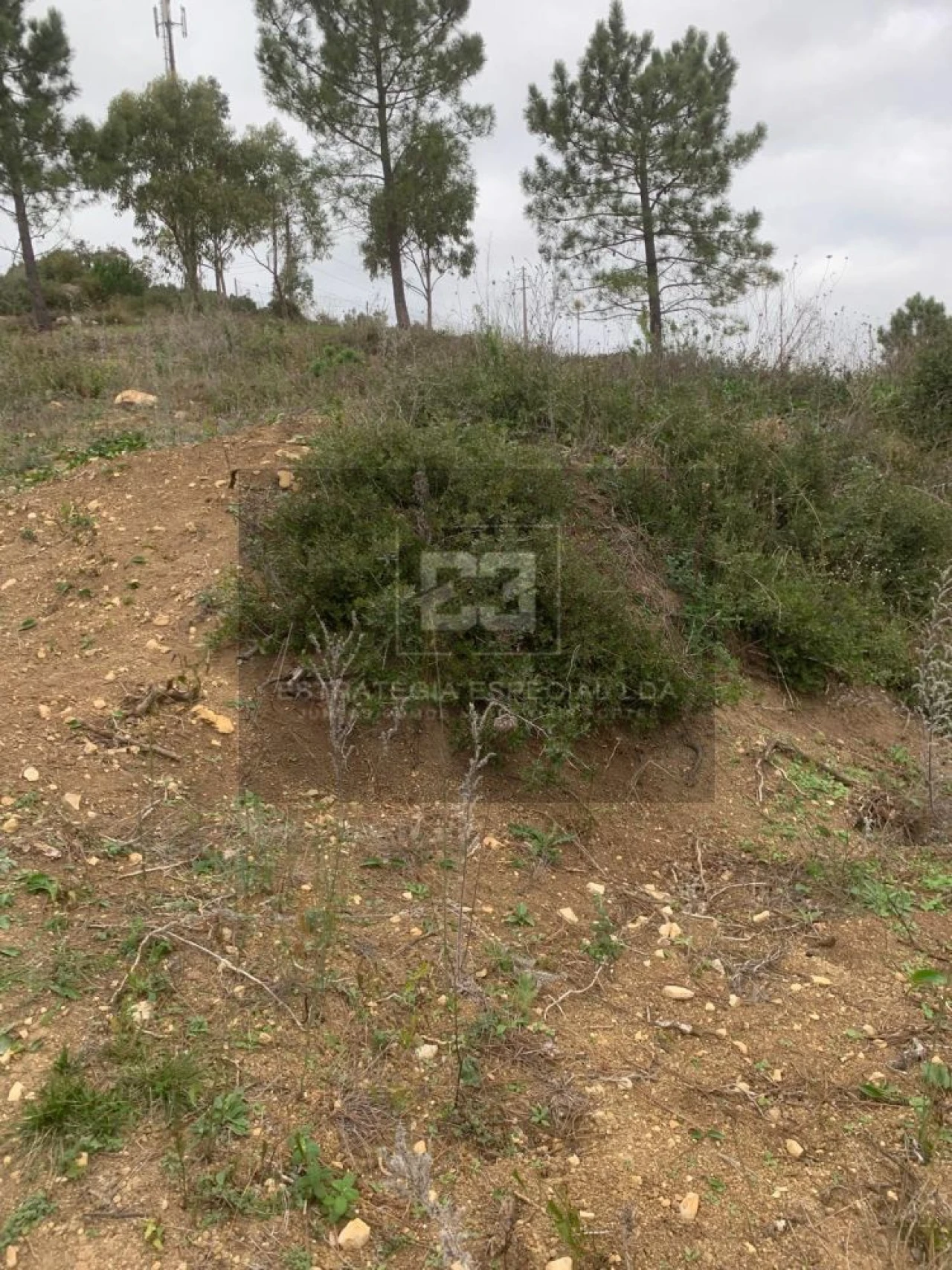 Quinta T2 para Venda em Arranho Foto 24