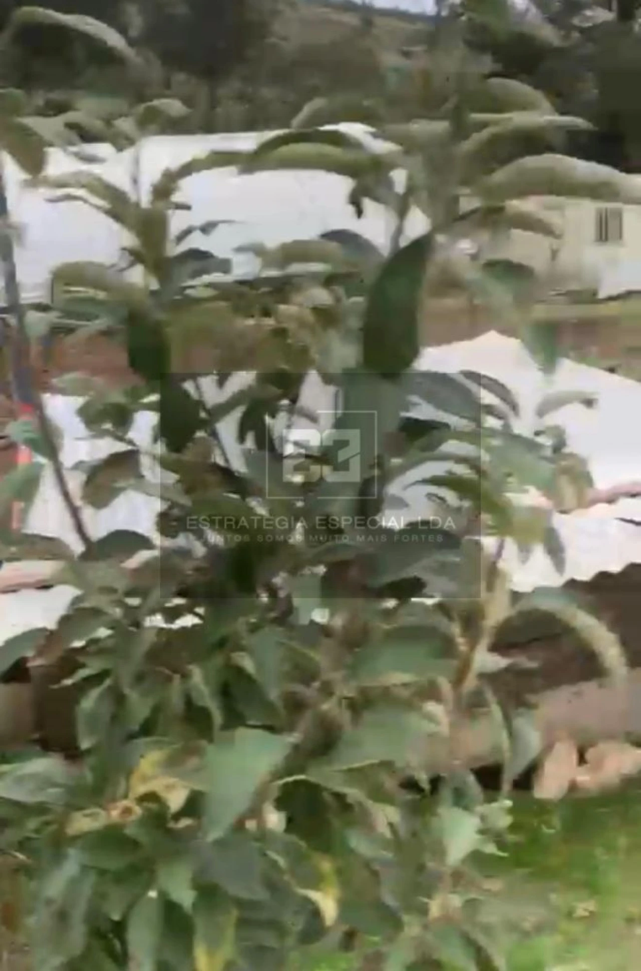 Quinta T2 para Venda em Arranho Foto 26