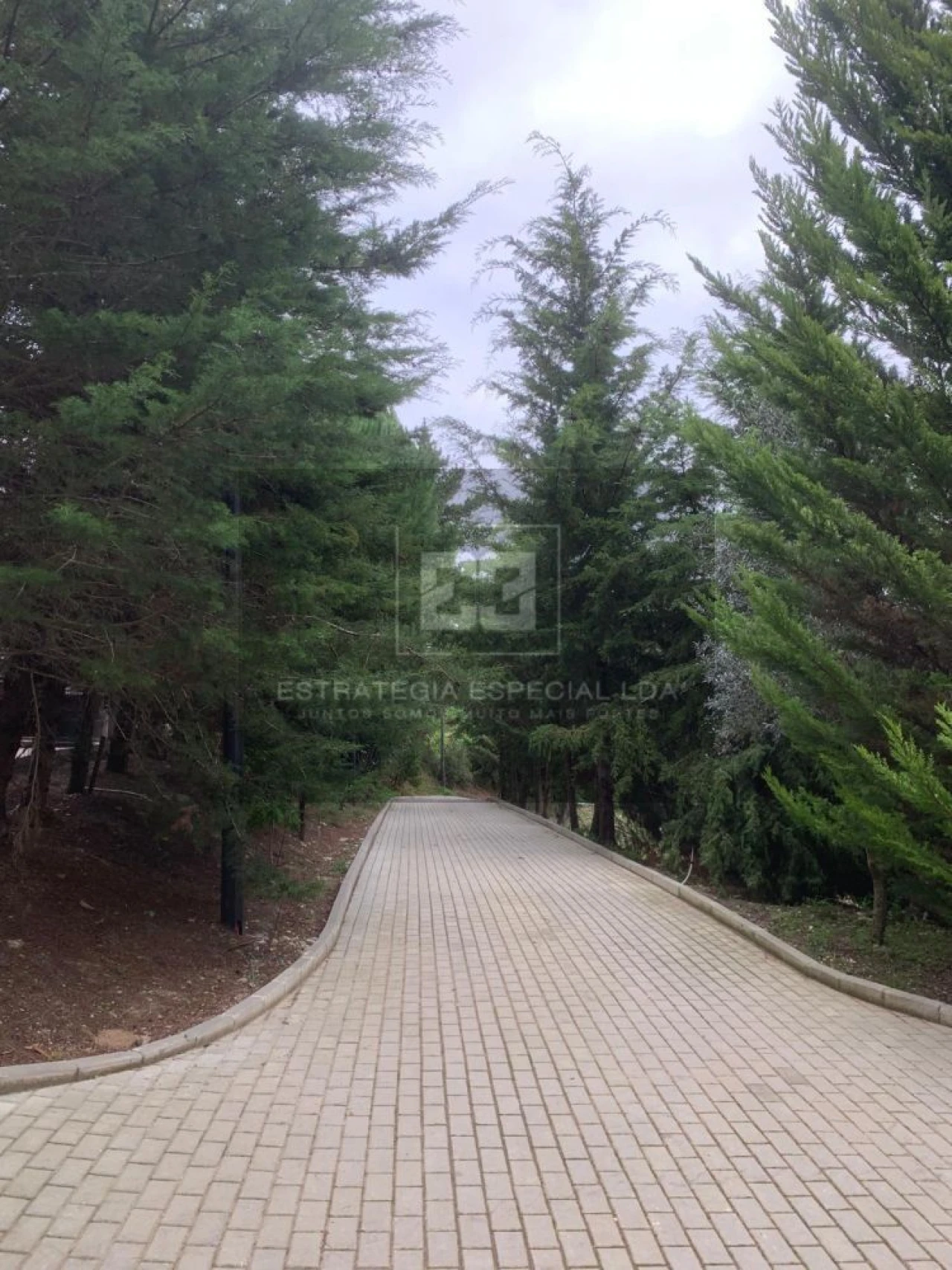 Quinta T2 para Venda em Arranho Foto 2