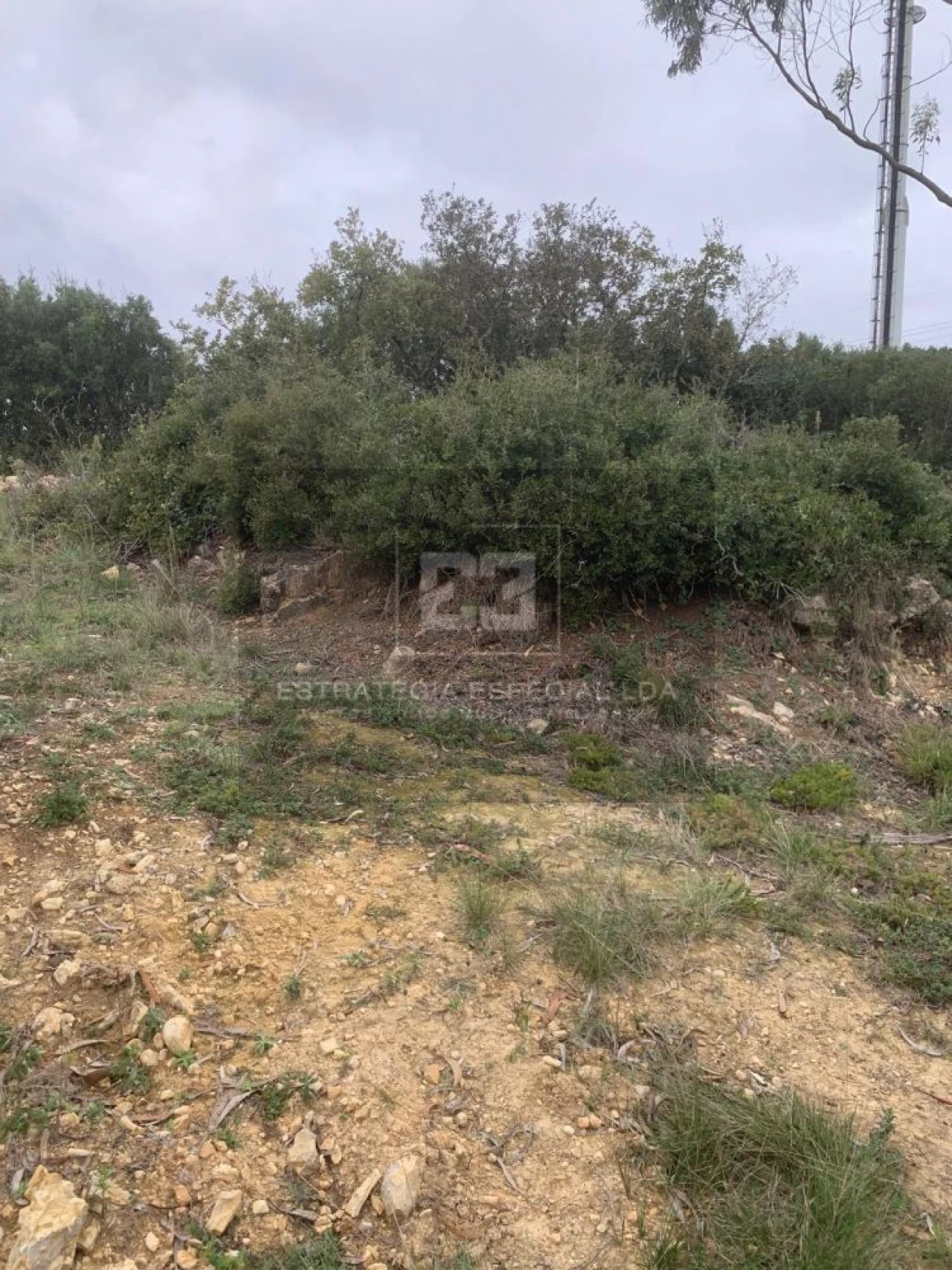 Quinta T2 para Venda em Arranho Foto 18