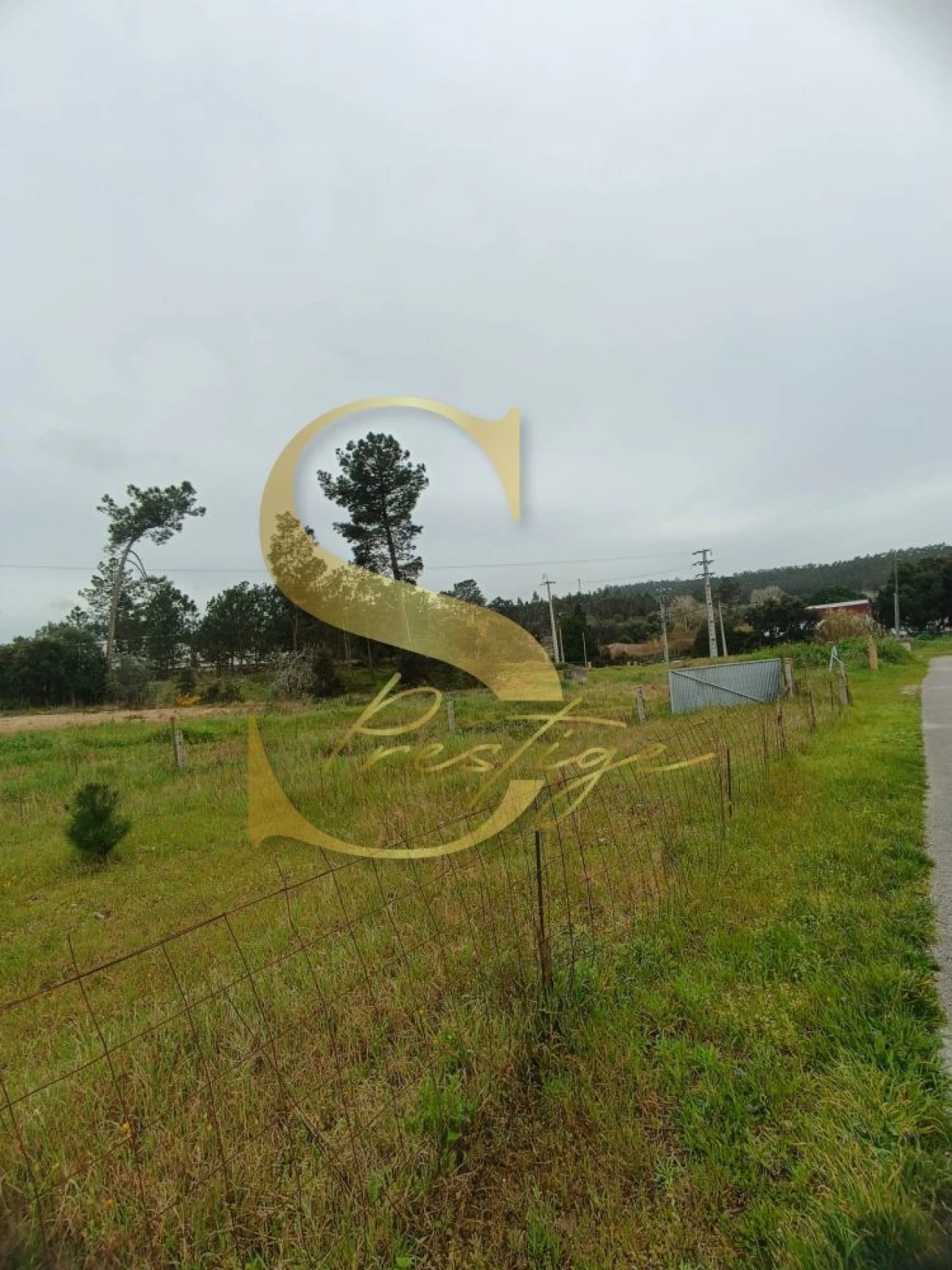 Terreno para Venda em Amor Foto 8