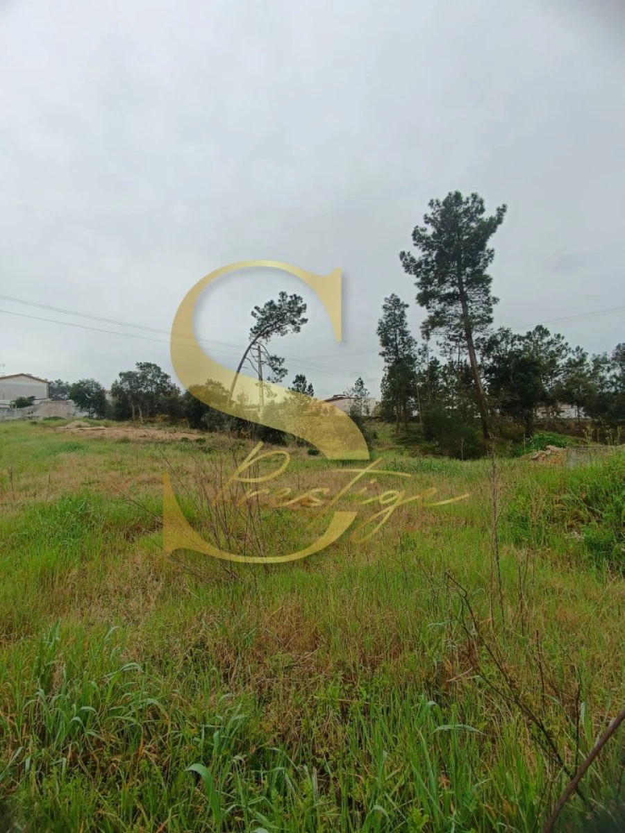 Terreno para Venda em Amor Foto 17