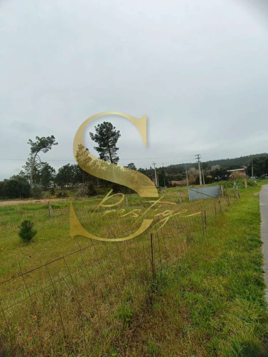 Terreno para Venda em Amor Foto 8