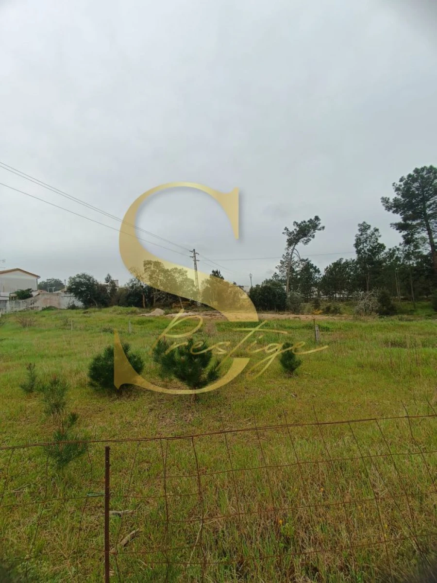 Terreno para Venda em Amor Foto 13