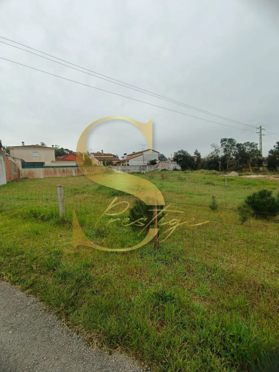 Terreno para Venda em Amor Foto 5