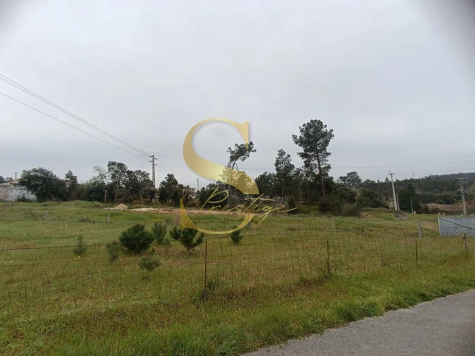 Terreno para Venda em Amor Foto 16
