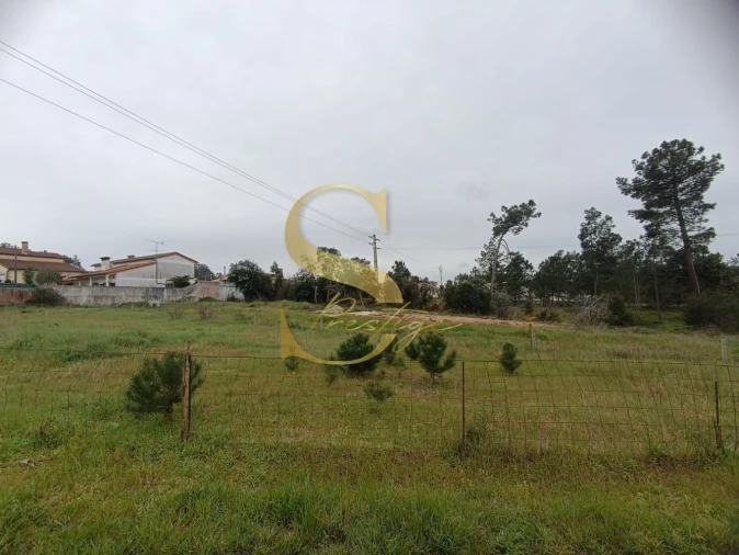 Terreno para Venda em Amor Foto 14