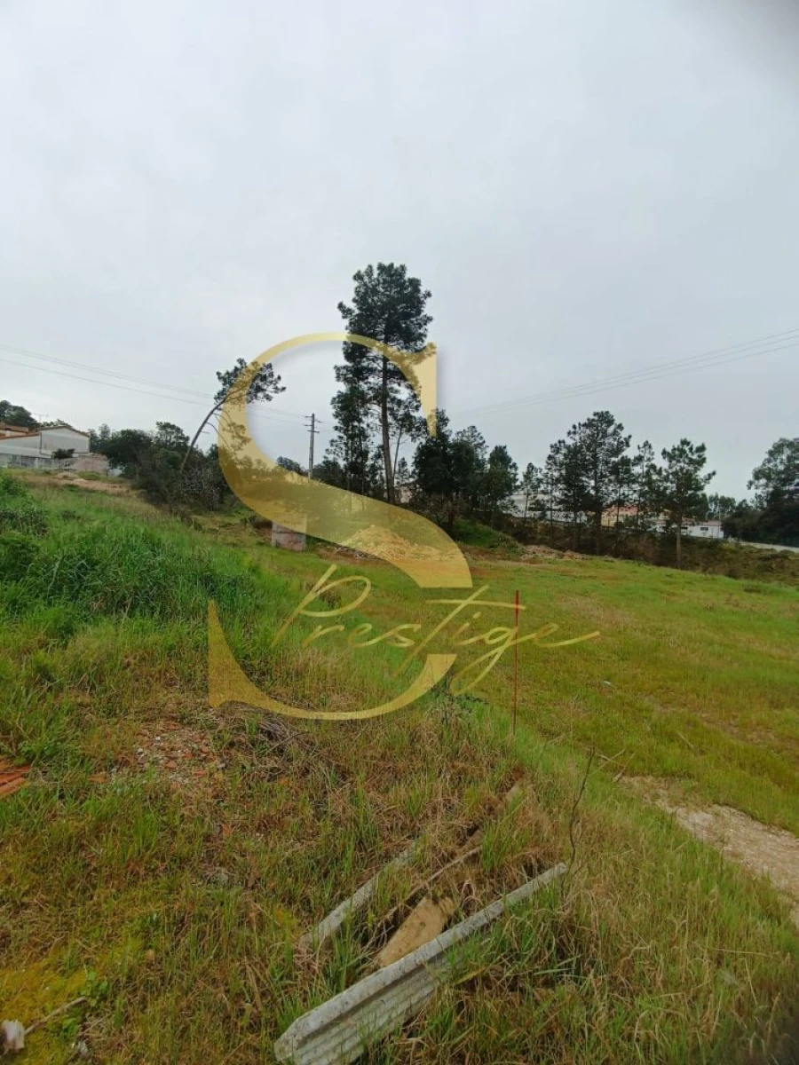 Terreno para Venda em Amor Foto 4