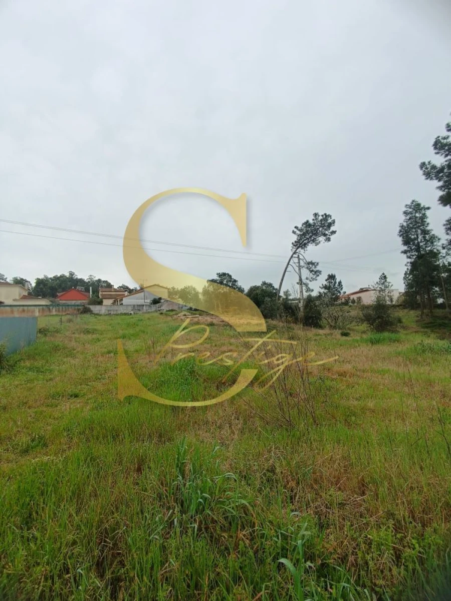 Terreno para Venda em Amor Foto 15