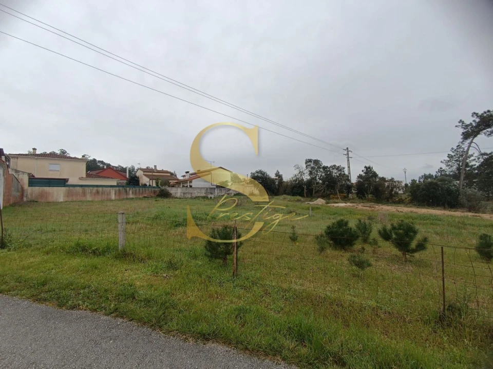 Terreno para Venda em Amor Foto 11