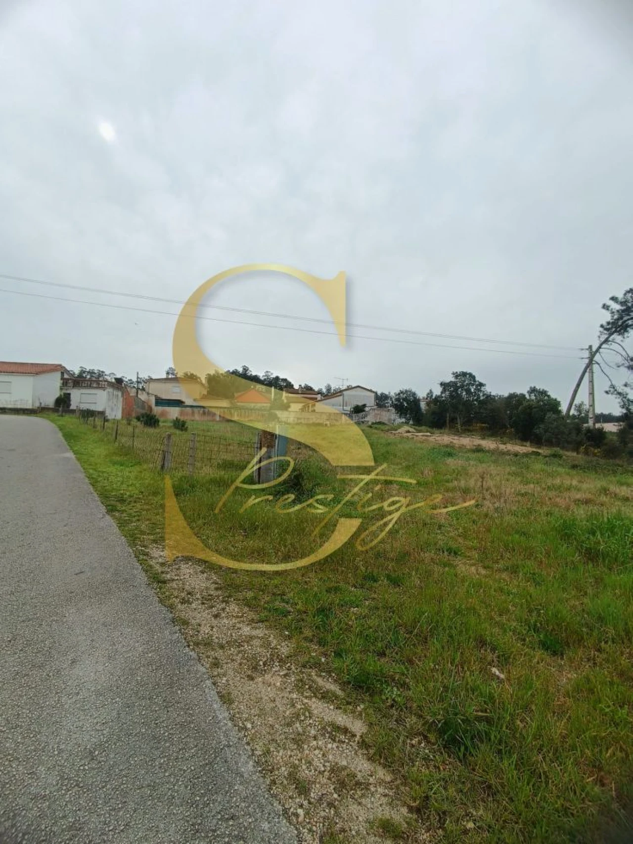 Terreno para Venda em Amor Foto 7