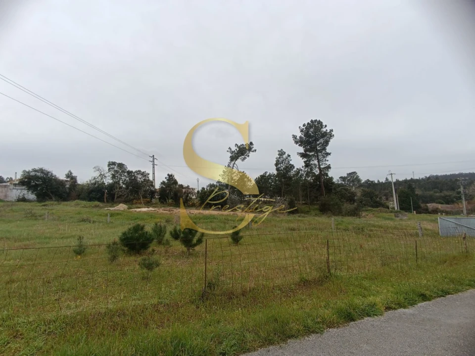 Terreno para Venda em Amor Foto 16