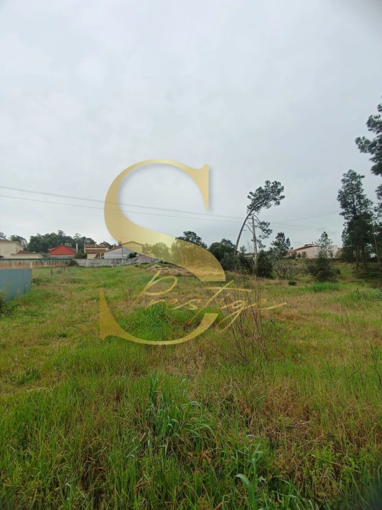 Terreno para Venda em Amor Foto 15