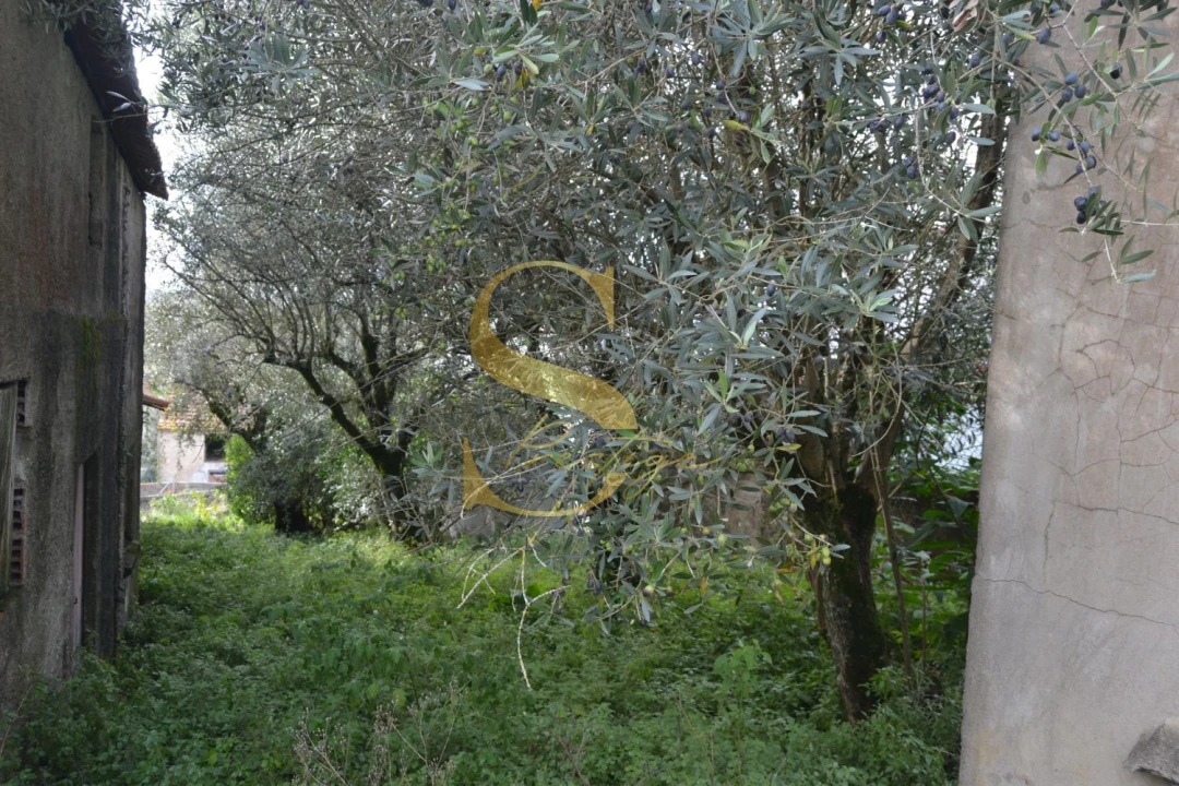 Moradia T5 para Venda em Chão de Couce Foto 18