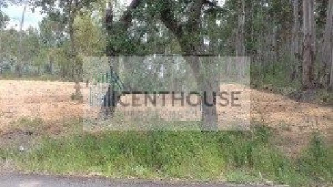 Terreno para Venda em Arcos e Mogofores