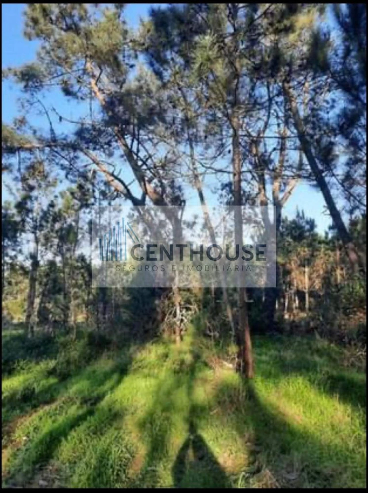 Terreno para Venda em Tavarede Foto 2