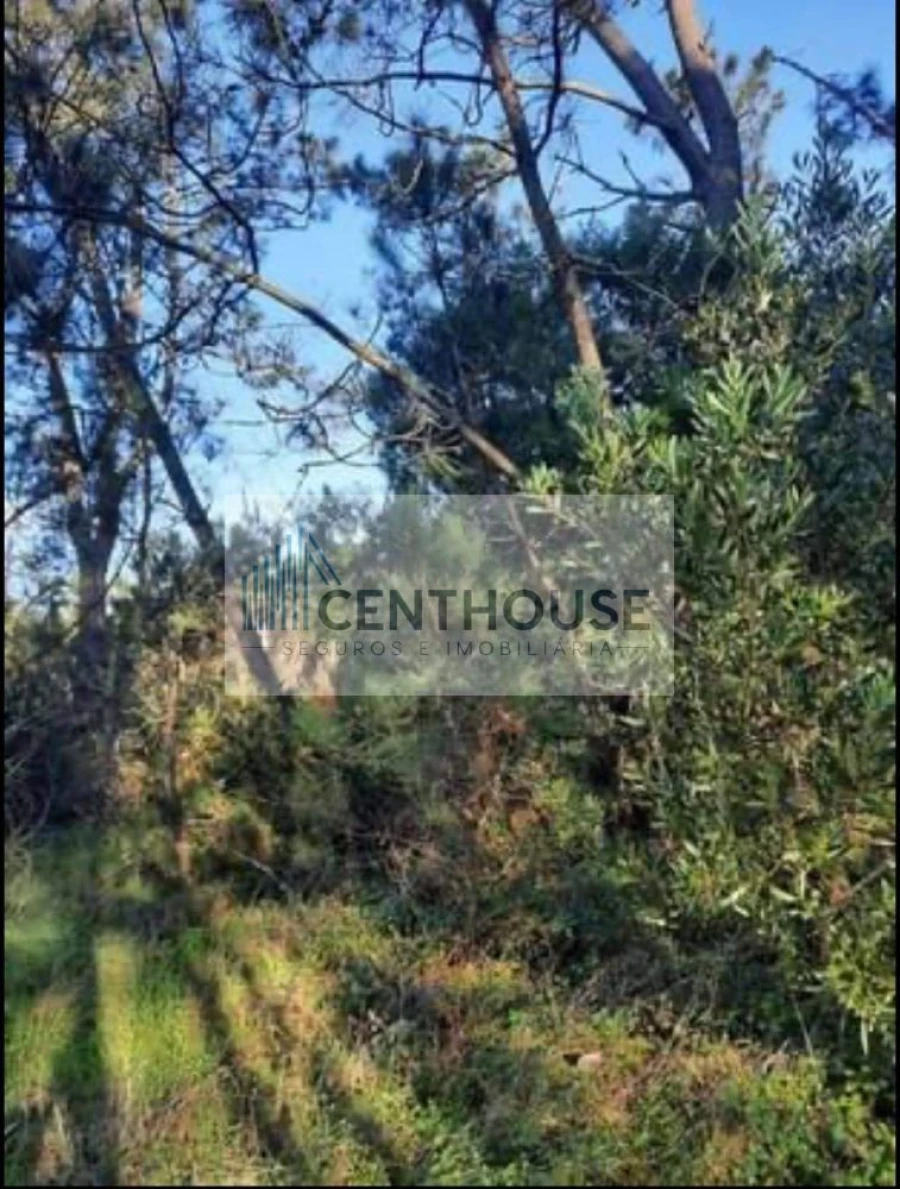 Terreno para Venda em Tavarede Foto 3