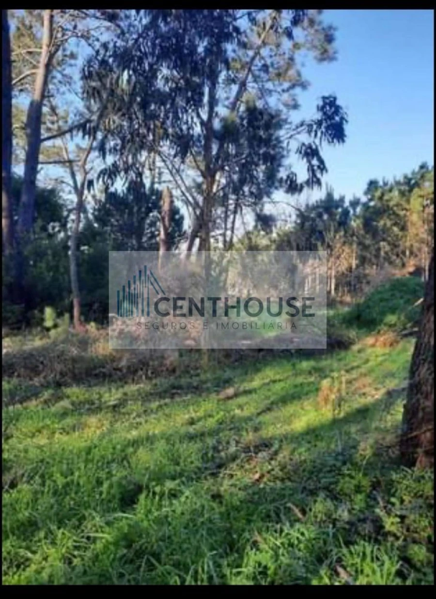 Terreno para Venda em Tavarede Foto 4