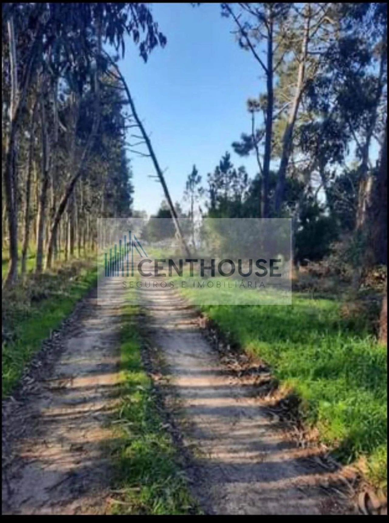 Terreno para Venda em Tavarede Foto 1